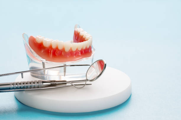 Professional Holistic Dental Care Services in Richfield, MN